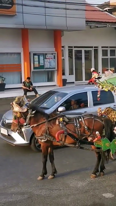 KECIL-KECIL KUDA KUNINGAN 🐴