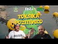 E62a - Toksika Pozitiveco