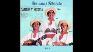 Los Hermanos Alvarado  Trigo Soy chords