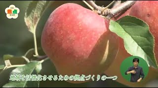 18の自治体が連携 北九州都市圏域（令和4年9月25日放送）