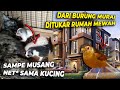 BANYAK HEWAN YANG DILUAR NALAR DISINI..! 3 HARI GA CUKUP KELILINGNYA..!