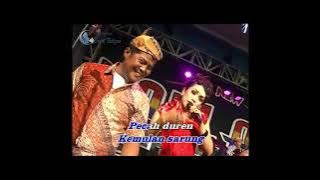 Vivi Rosalita & Dhenan - Kurang Ajar New Pallapa