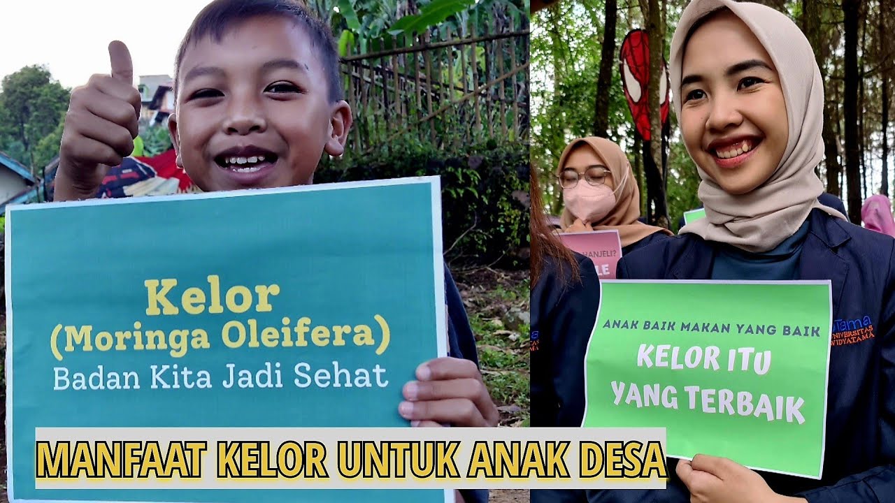 Manfaat Daun Kelor Moringa Oleifera untuk Gizi Anak Desa - Pendidikan