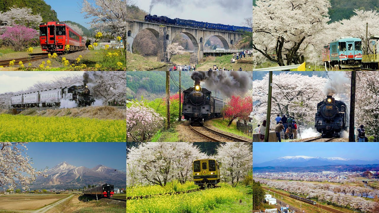 【春の風景の中の花嫁行列】 ルートヴィヒ・リヒター　複製 4K] 春になったら見に行きたい。桜と列車の鉄道絶景めぐり A