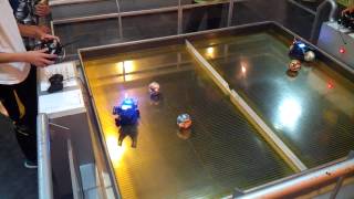 Bugsbot(RC)