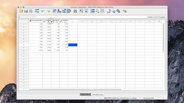 Introducing the SPSS data editor and entering data