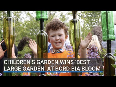 Children's garden takes 'Best Large Garden' prize at Bord Bia Bloom