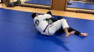 Half guard position number 3 bottom back take