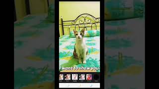 Editing video on UpScrolled in-app video editor