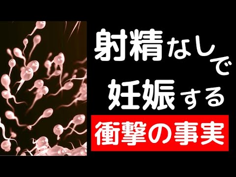 妊娠するのか 我慢汁