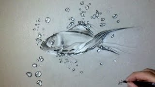 ⁣Magic water fish ! Fun Drawing