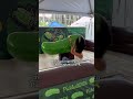 Picklesburgh 2025 #pittsburgh #pickle #foodie #romanticizepittsburgh