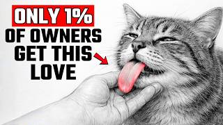 6 Rare Behaviors Cats Show ONLY When They Love You Deeply @PawsitiveTalesClub