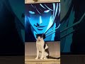 After your cat watches death note anime shorts deathnote cat.s funnycat.s animals
