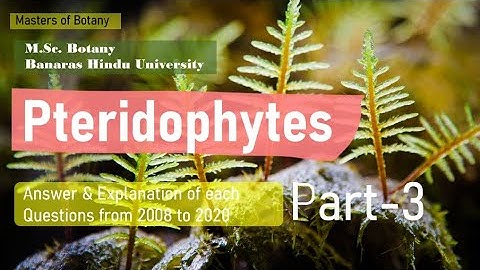 Pteridophytes: Part-3 | BHU M.Sc. Botany Entrance Exam | Answer & Explanation [2008-2020 Questions]