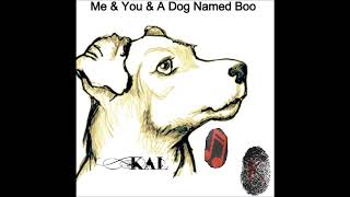 Me &amp; You &amp; A Dog Named Boo {Cover}