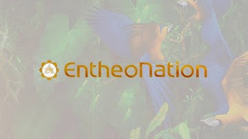 EntheoNation Video Intro Featuring Anderson Debernardi Art & Ixchel Prisma Meow Music