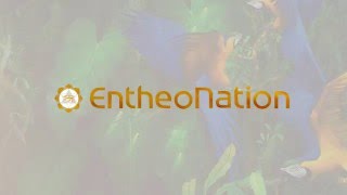 Entheonation Video Intro Featuring Anderson Debernardi Art Ixchel Prisma Meow Music