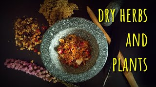 HOW TO DRY PLANTS, HERBS, AND FLOWERS FOR CRAFT, ALTAR, RITUALS, INCENSE, INFUSIONS ... TIPS! screenshot 5