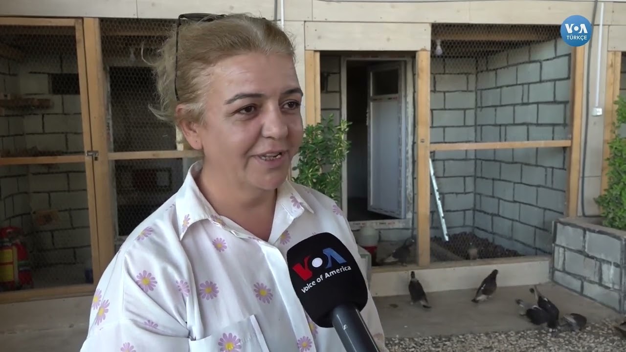 İstanbul’u Bırakıp Diyarbakır’da Güvercin Oteli Açtı