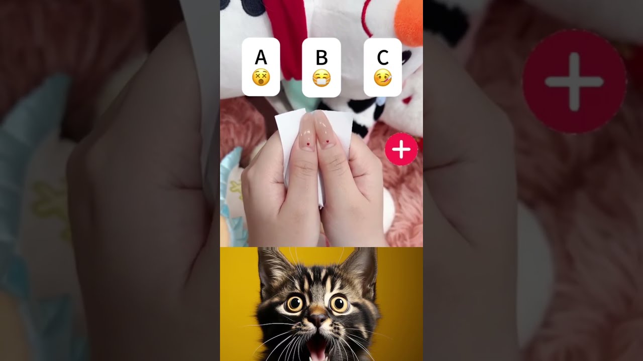 Only 4 Solve This Game Shorts Shortvideo Viral Trending Americanguessgames Cat Funny