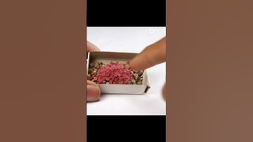 Making Pop Pop Crackers #shorts #diwali #diy