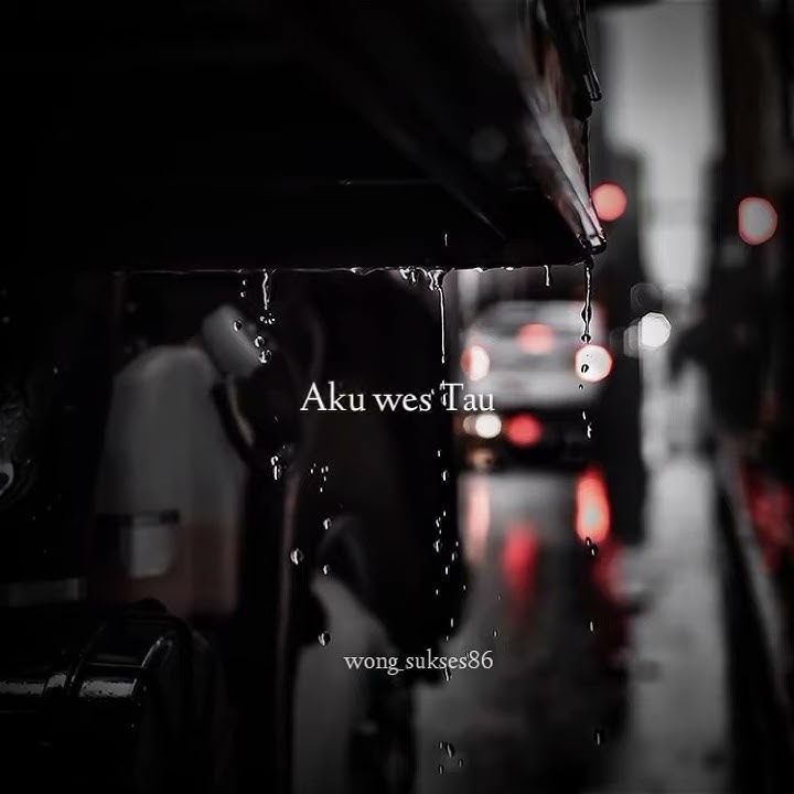 story wa lagu Penting wes tau