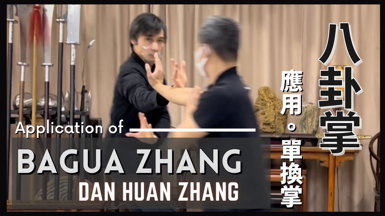 八卦掌應用- 單換掌Applications of BaGua Zhang - Dan Huan Zhang