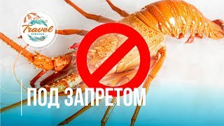 🦀 Запрет на ловлю лобстеров/лангустов. Какие еще морепродукты есть в Доминикане?