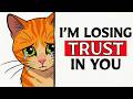 6 Mistakes That Break Cat Trust — MOST Owners Don't Know