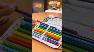 Organizando Estojo Rafa E Luiz