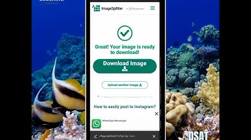IMAGE SPLITTER FOR INSTAGRAM POST
