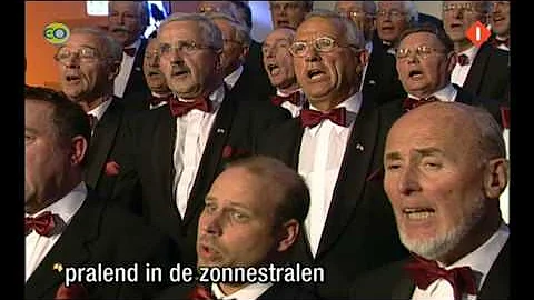 Op de grote stille Heide, Groot nederlands mannenk...