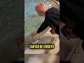 CARTÃO NA FONTE?  #curioso #interessante #italia #curiosidades #viral