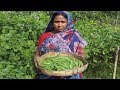 FARM FRESH Bean and Brinjal Recipe Cooking Bean in my Village Brinjal Fish Curry VILLAGE FOOD