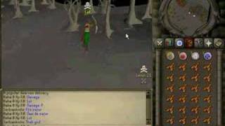 Runescape First hypercam vid