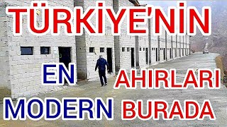 YUSUFELİ BARAJI  en modern ahırlar mı  yapıldı yeni yusufeli de