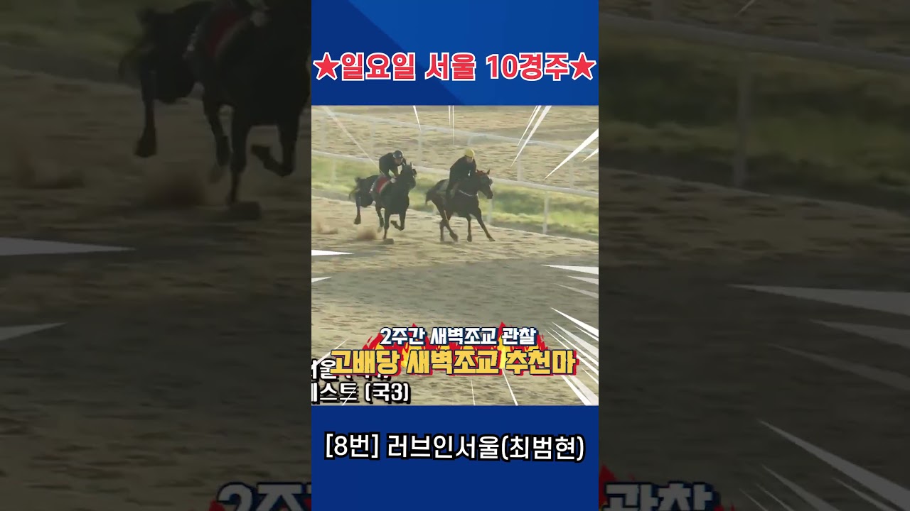 5월31일 일요일 서울 10경주!! 2주간 훈련보인 강백호의 새벽조교 쏘스마!!
