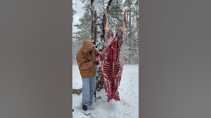 Butcher an elk with me #shorts