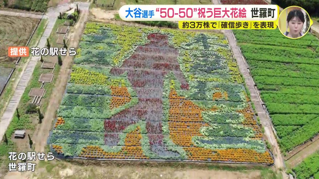 大谷翔平選手「50-50」祝う巨大な花絵 約3万株で「確信歩き」を再現