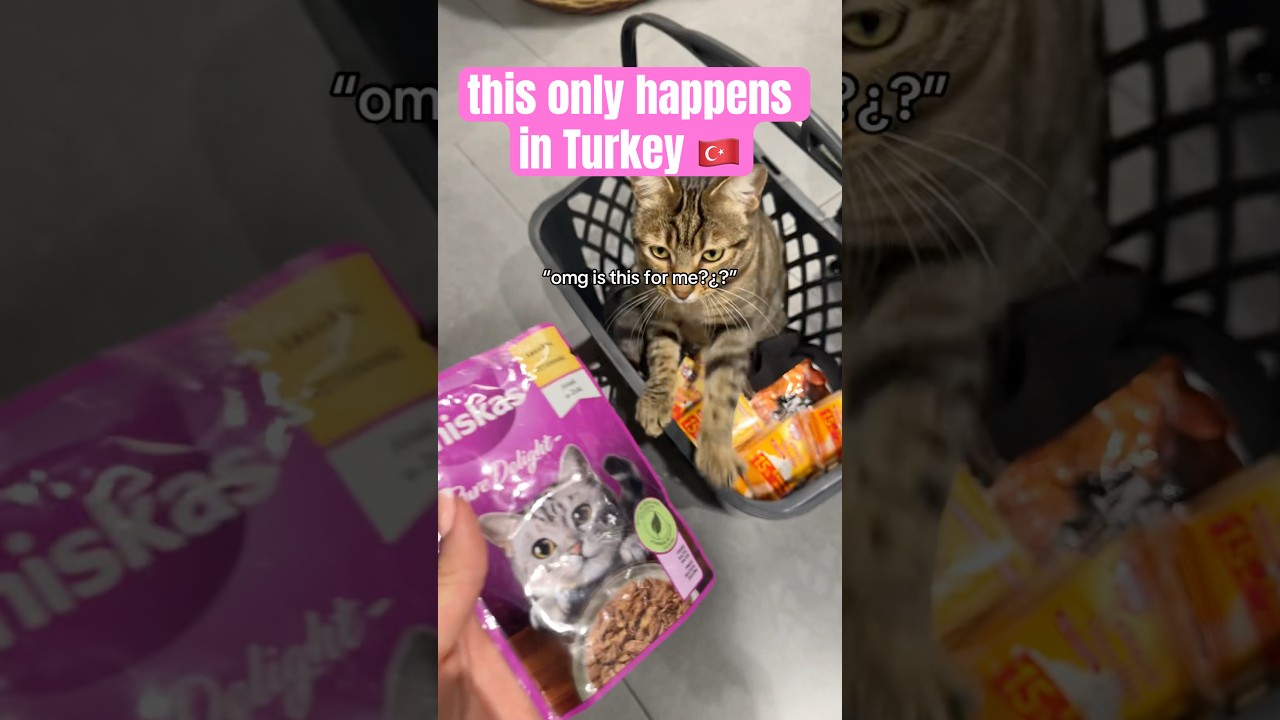 Can’t believe this happened 🥺 