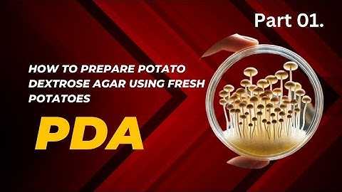 How to Prepare Potato Dextrose Agar (PDA) for Growing Mushrooms  Quick & Easy Guide
