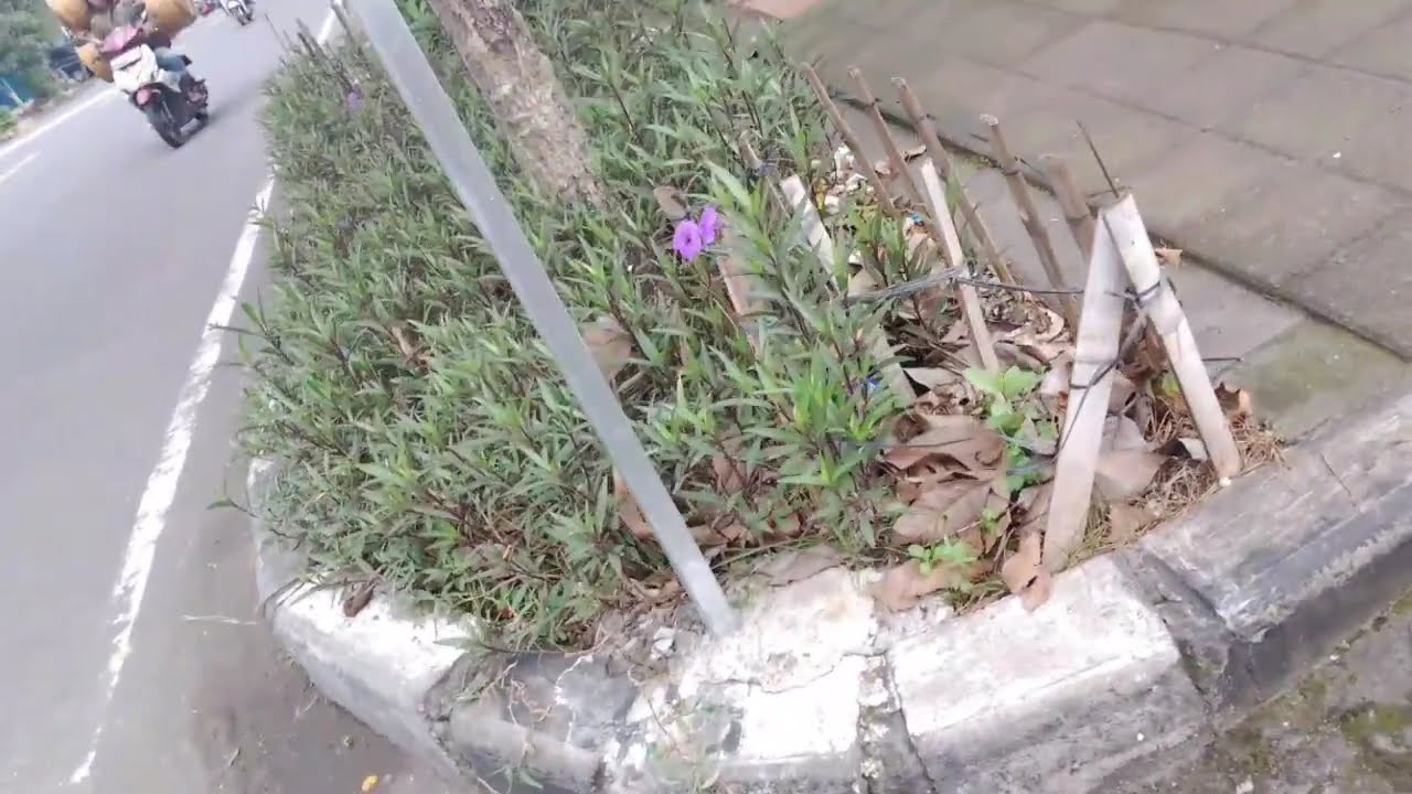 Full Album NDX A.K.A 2026 Terpopuler | Kelingan Mantan, Nemen, Piwales Tresno