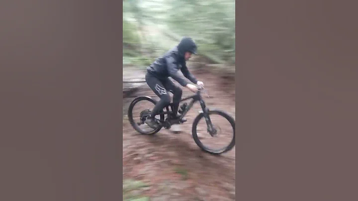 Guy Crashes Into A Tree Coming Down A Trail On A Mountain Bike
