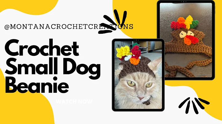 Video 10964571: maine coon kitty, dog maine coon, small kitty