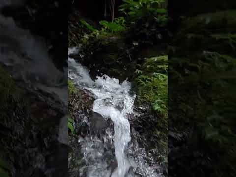 Cascade