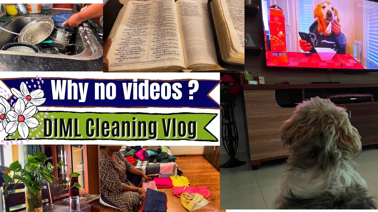 Diml Vlog 🌿DIML routine cleaning Vlog Why no videos? How my creator looks at me 👀 ...