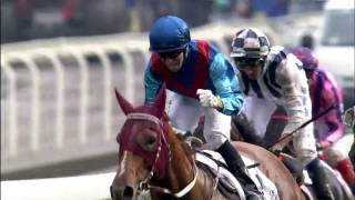 The bmw hong kong derby is an annual contest featuring kong’s top
four-year-old race horses. held on sunday, march 19 at sha tin
racecourse, event w...