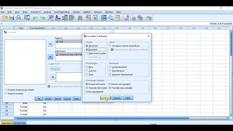 SPSSisFun: Chi-square test for independence (two categorical variables)