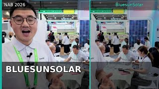Bluesun Solar Home &amp; Commercial Energy Storage Systems